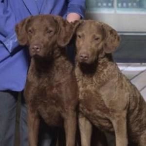 Meet your Posher, Gail